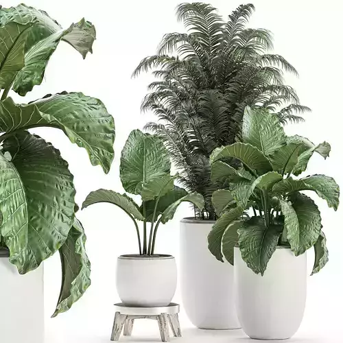 Plants in a white flowerpot for decor and interior design 504