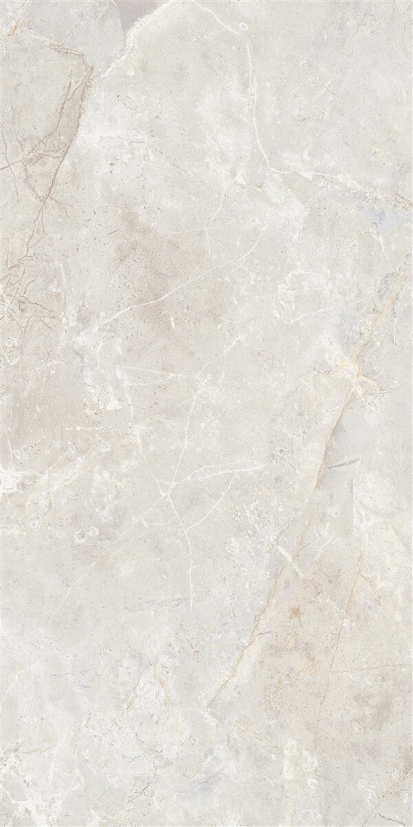 Marble Floor Amazon Bone Texture_5