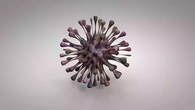 Corona Virus Model