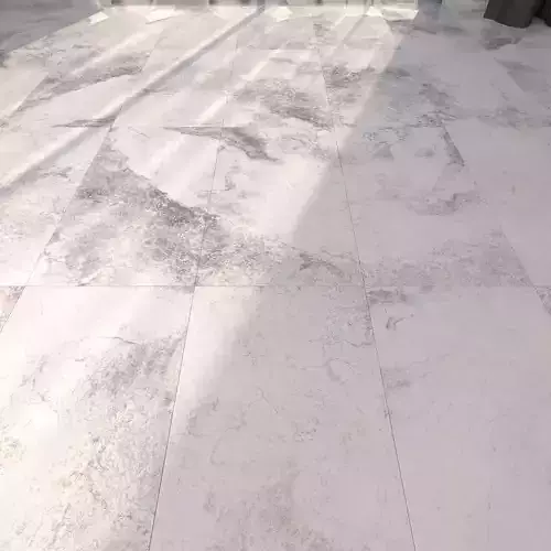 Marble Floor Bizantino Bianco Set 2 Texture