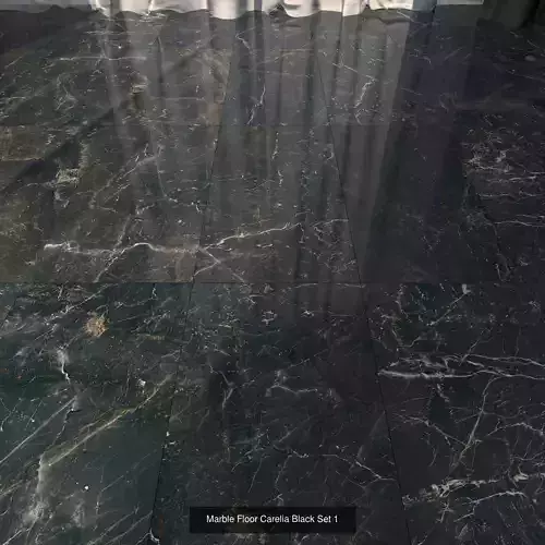 Marble Floor Carelia Black Set Texture