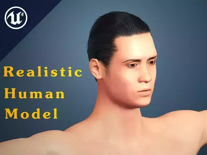 Realistic Human Model 3D model