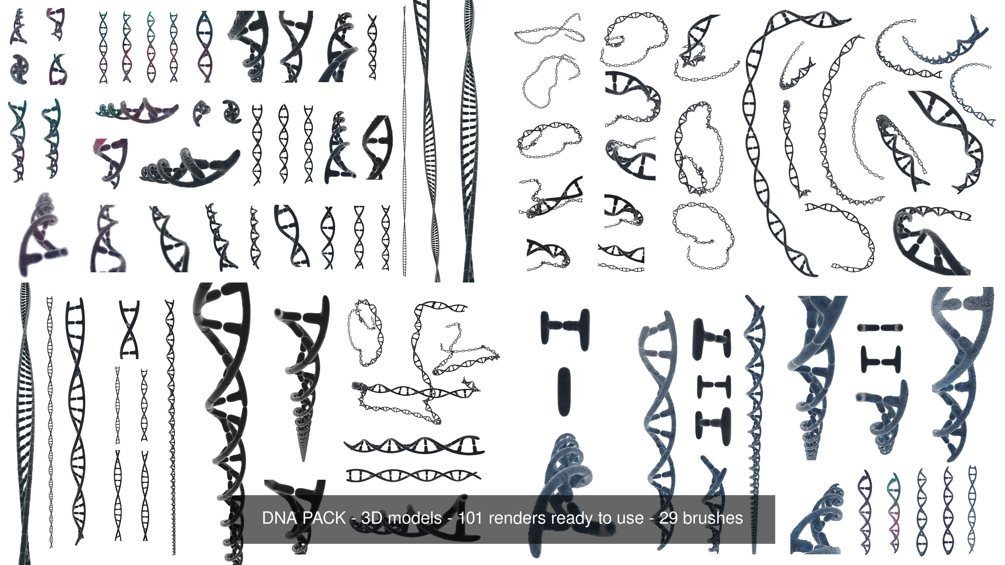 coronavirus collection coronaviruses in shapes and sizes _9