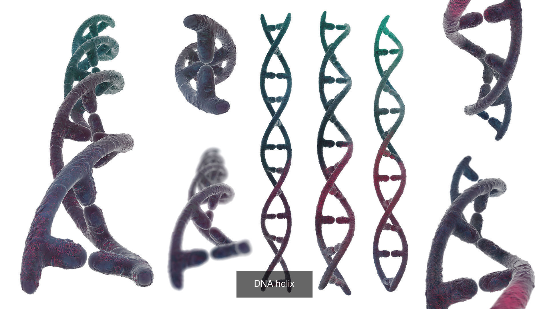 coronavirus collection coronaviruses in shapes and sizes _5