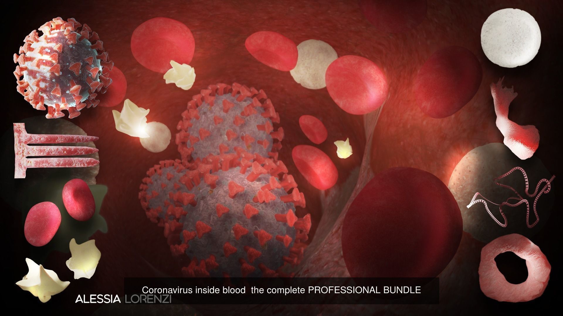 coronavirus collection coronaviruses in shapes and sizes _2