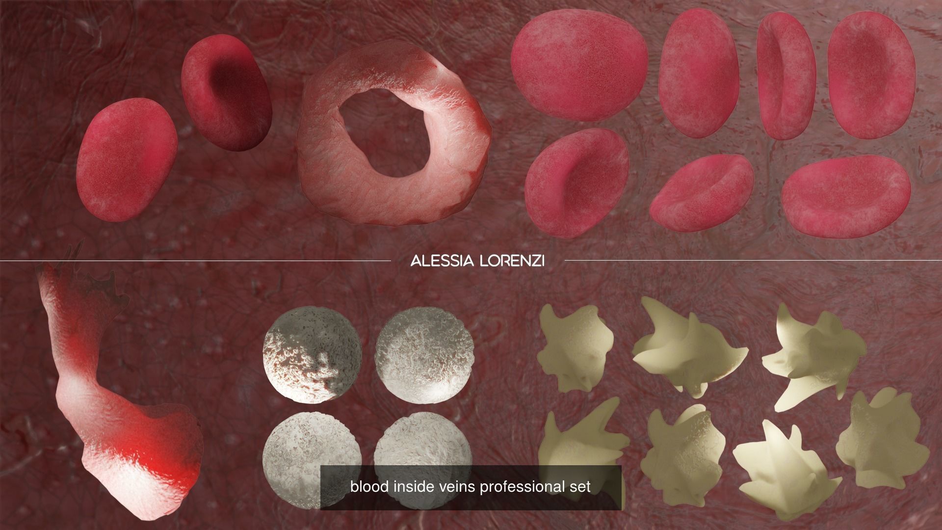 coronavirus collection coronaviruses in shapes and sizes _12