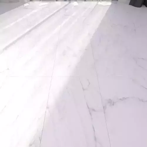 Marble Floor Classic Carrara White Set 2 Texture
