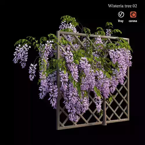 Wisterial tree 02 3D model