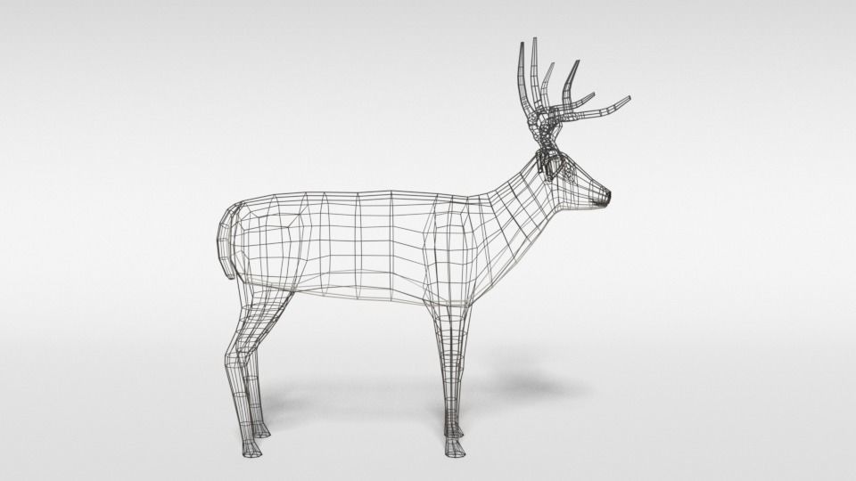 Low Poly Cartoon White-tailed Deer Low-poly 3D model_14