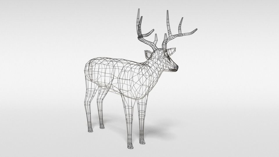 Low Poly Cartoon White-tailed Deer Low-poly 3D model_15