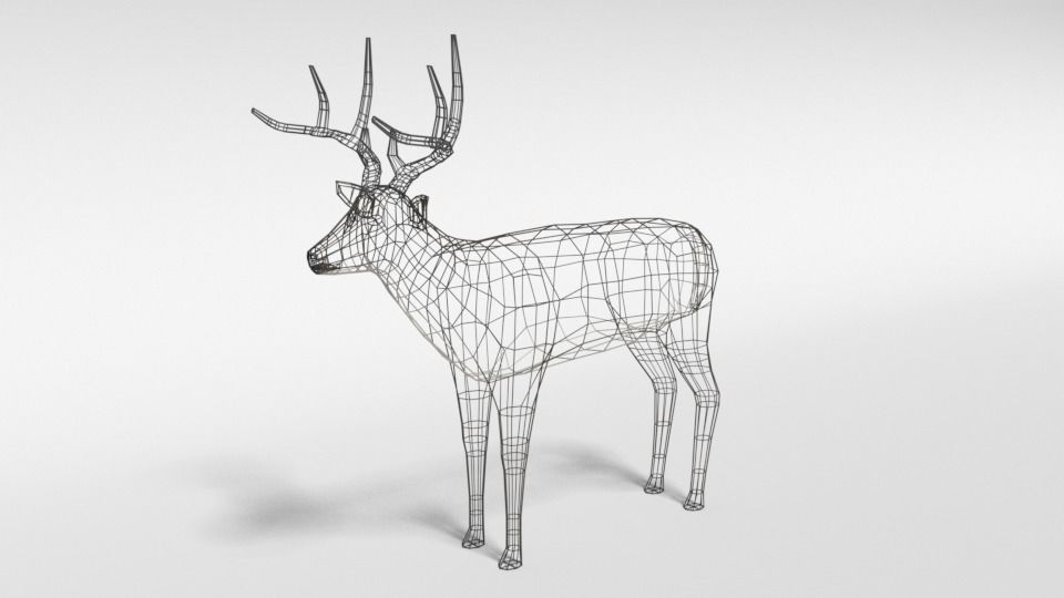 Low Poly Cartoon White-tailed Deer Low-poly 3D model_9