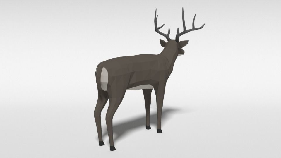 Low Poly Cartoon White-tailed Deer Low-poly 3D model_4