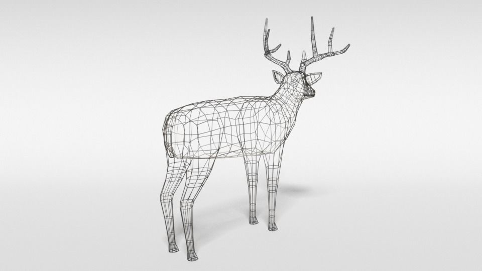 Low Poly Cartoon White-tailed Deer Low-poly 3D model_13