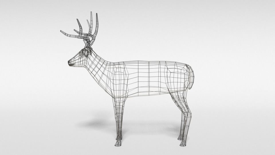 Low Poly Cartoon White-tailed Deer Low-poly 3D model_10