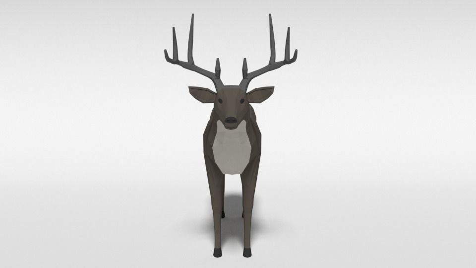 Low Poly Cartoon White-tailed Deer Low-poly 3D model_7