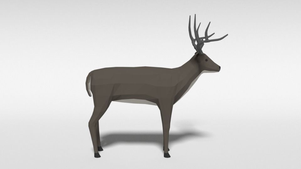 Low Poly Cartoon White-tailed Deer Low-poly 3D model_5
