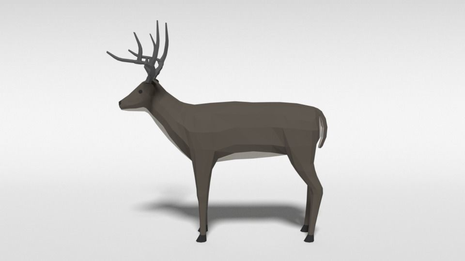 Low Poly Cartoon White-tailed Deer Low-poly 3D model_1