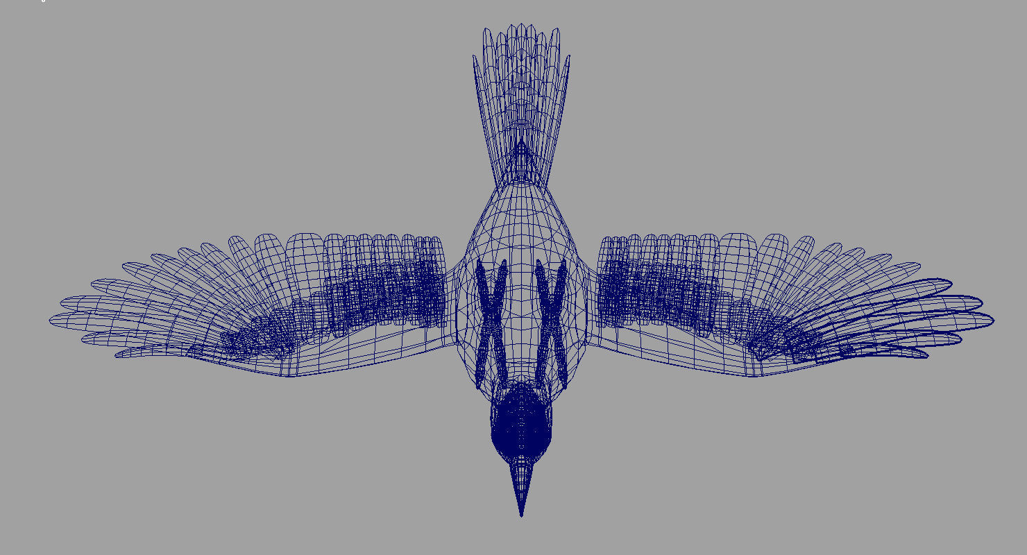 woodpecker bird 3d model 3D model_10