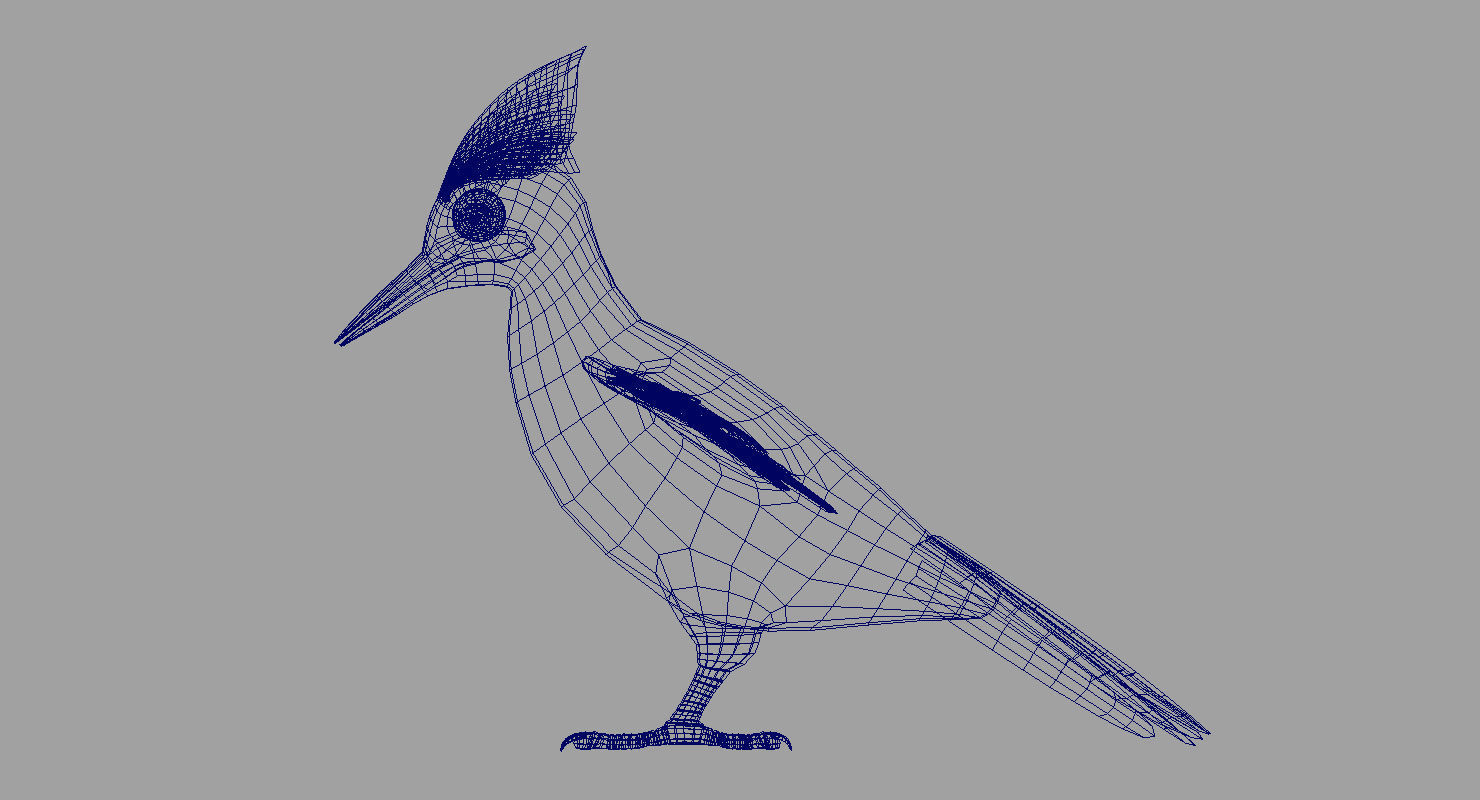 woodpecker bird 3d model 3D model_2
