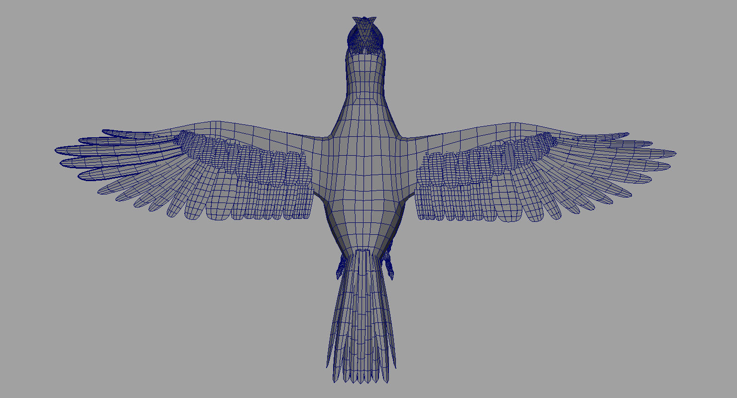 woodpecker bird 3d model 3D model_9