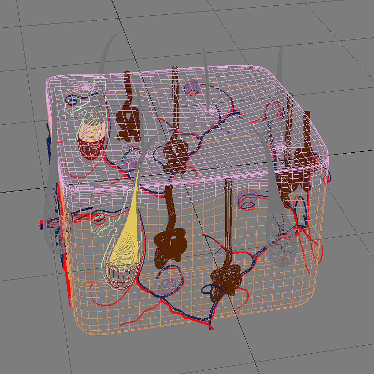 Skin Max 2008 3D model_9