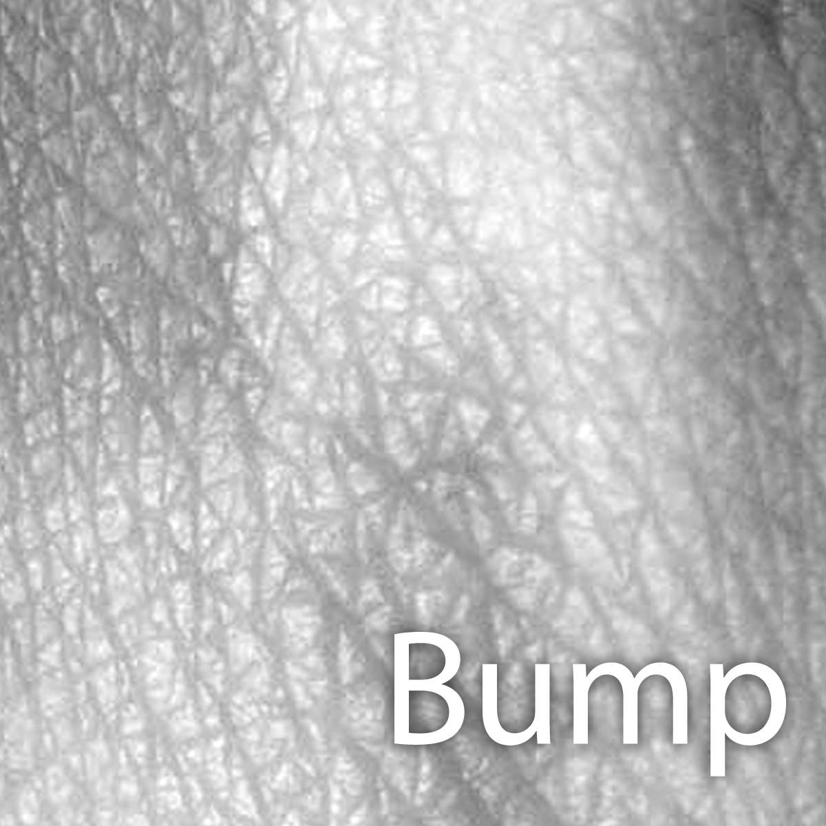 Skin Max 2008 3D model_8