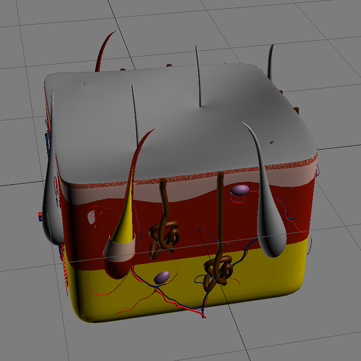 Skin Max 2008 3D model_1