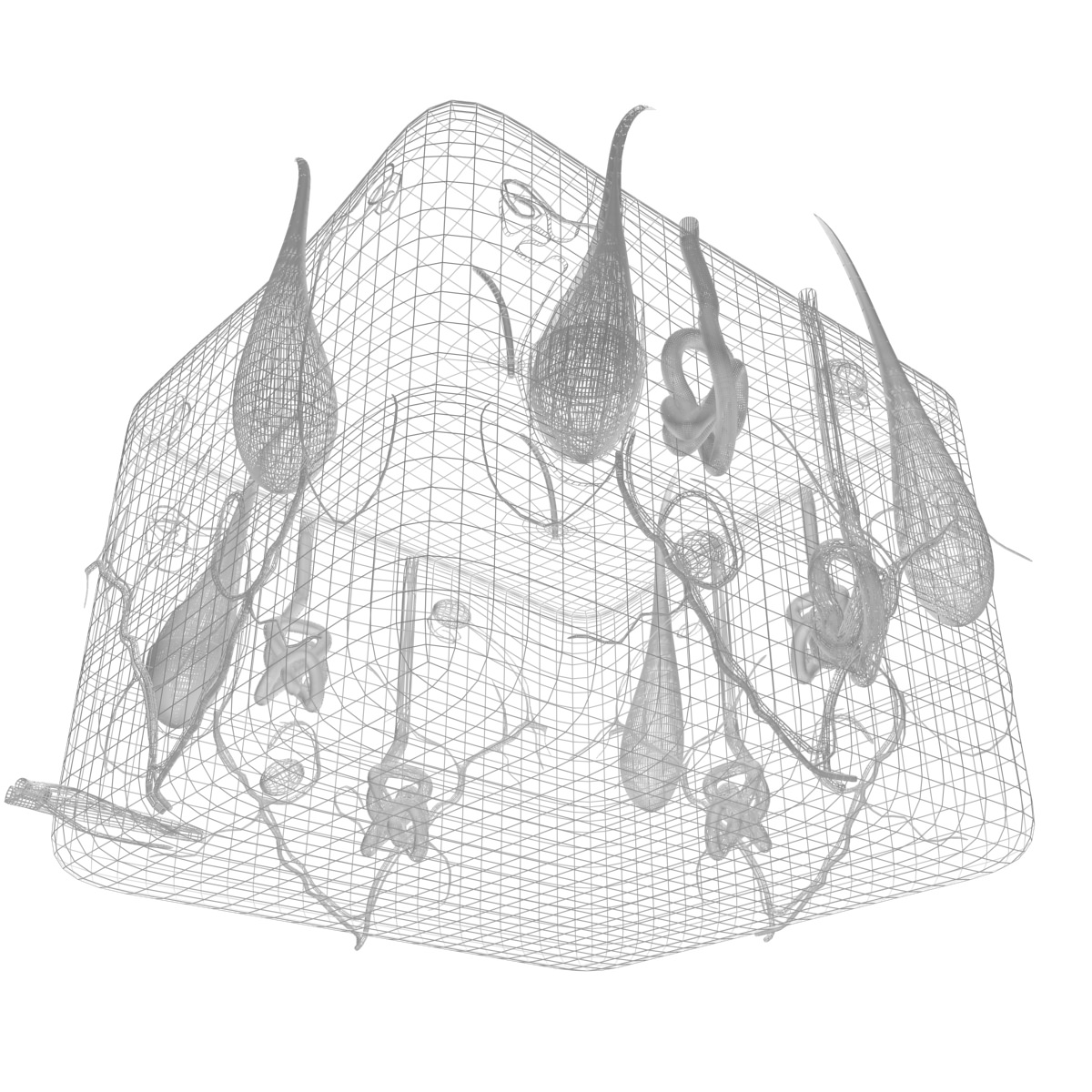 Skin Max 2008 3D model_7