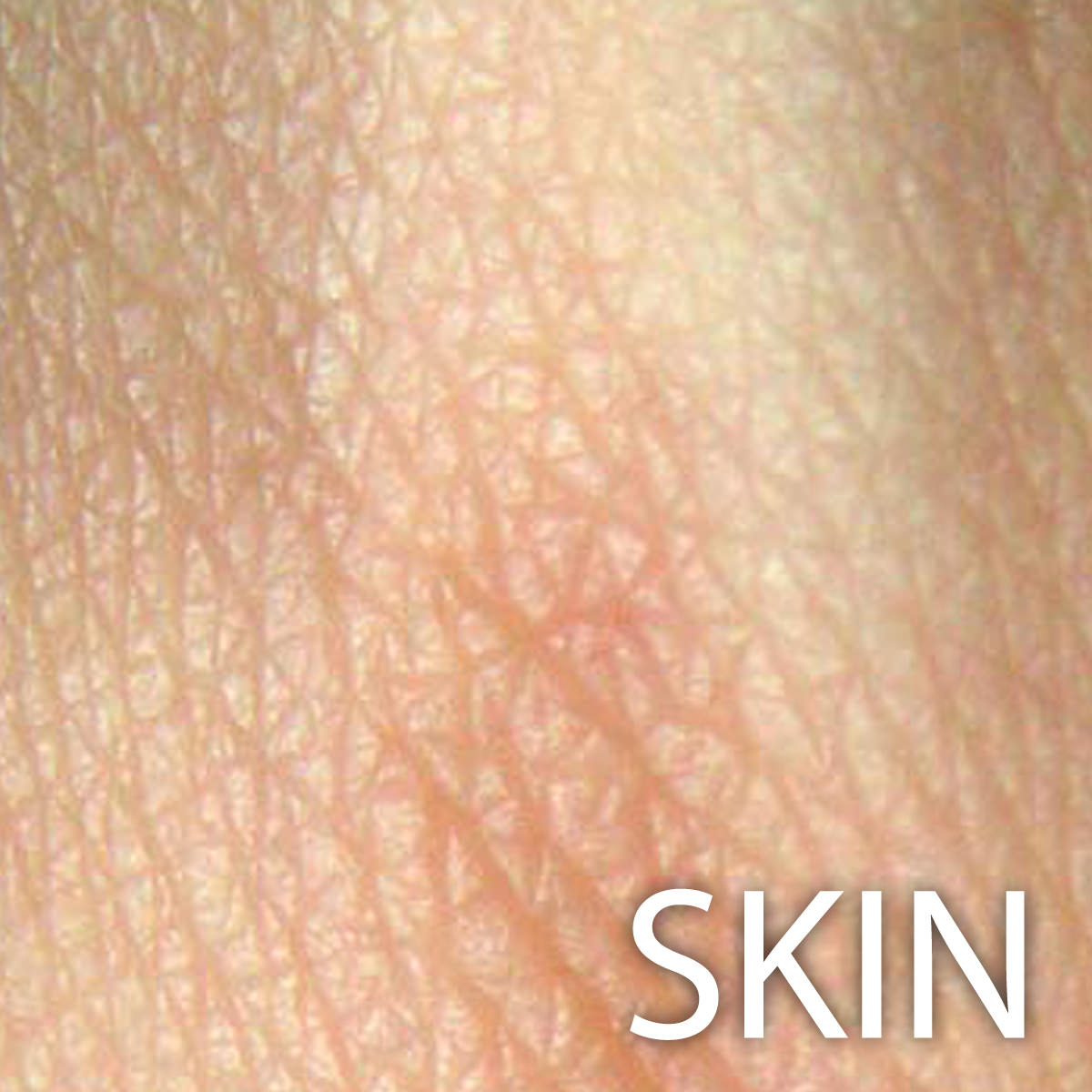 Skin Max 2008 3D model_11