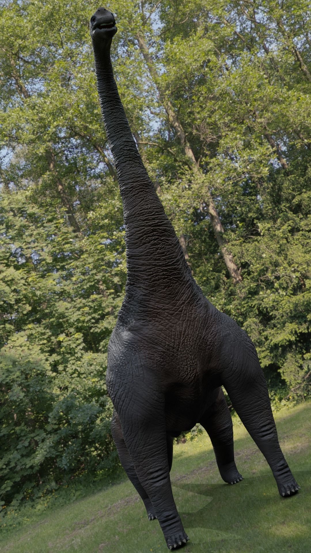 Brachiosaurus dinosaur Low-poly 3D model_10