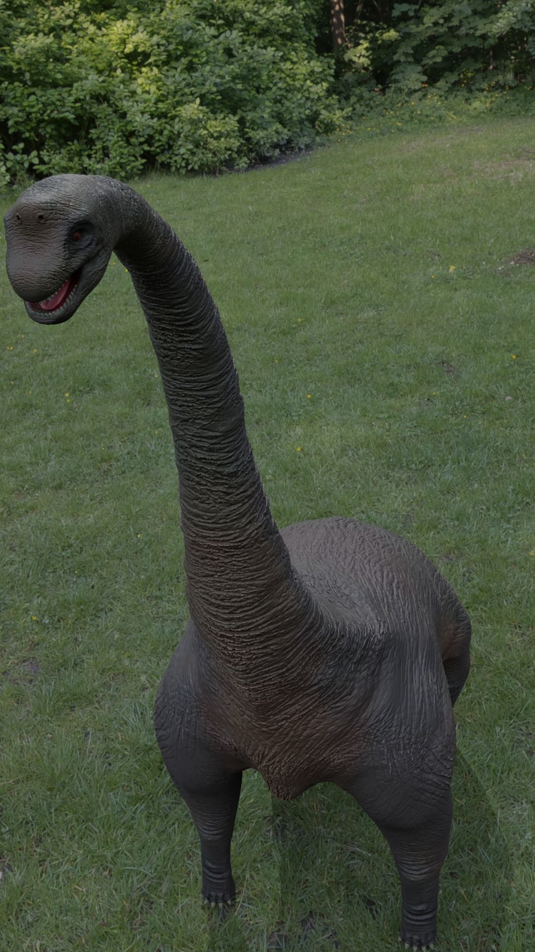 Brachiosaurus dinosaur Low-poly 3D model_11