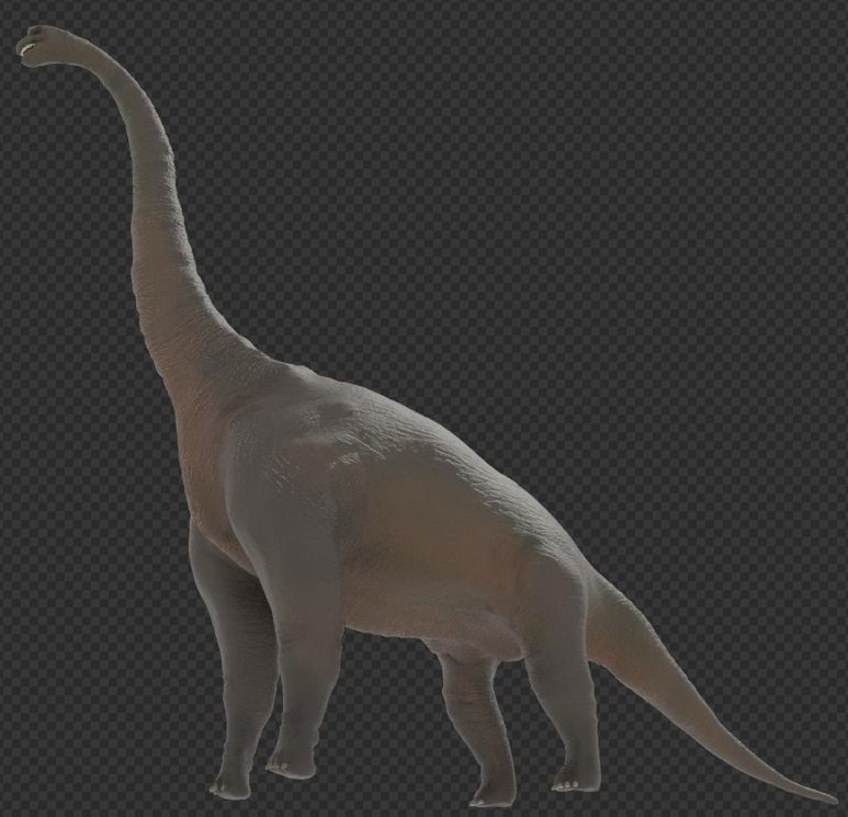 Brachiosaurus dinosaur Low-poly 3D model_2