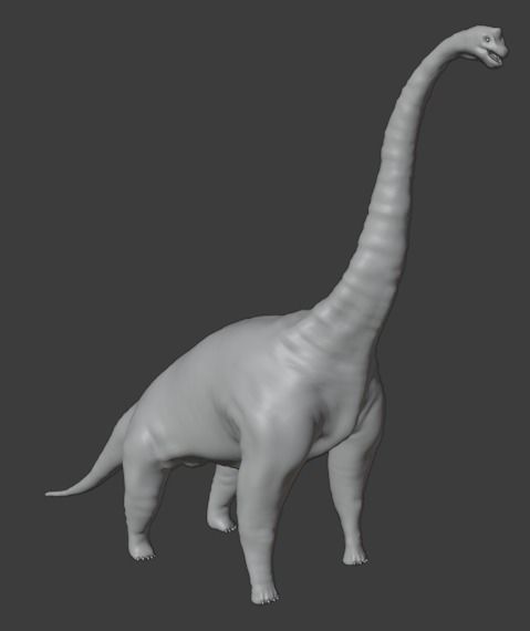 Brachiosaurus dinosaur Low-poly 3D model_6