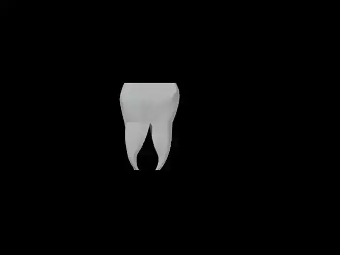 tooth