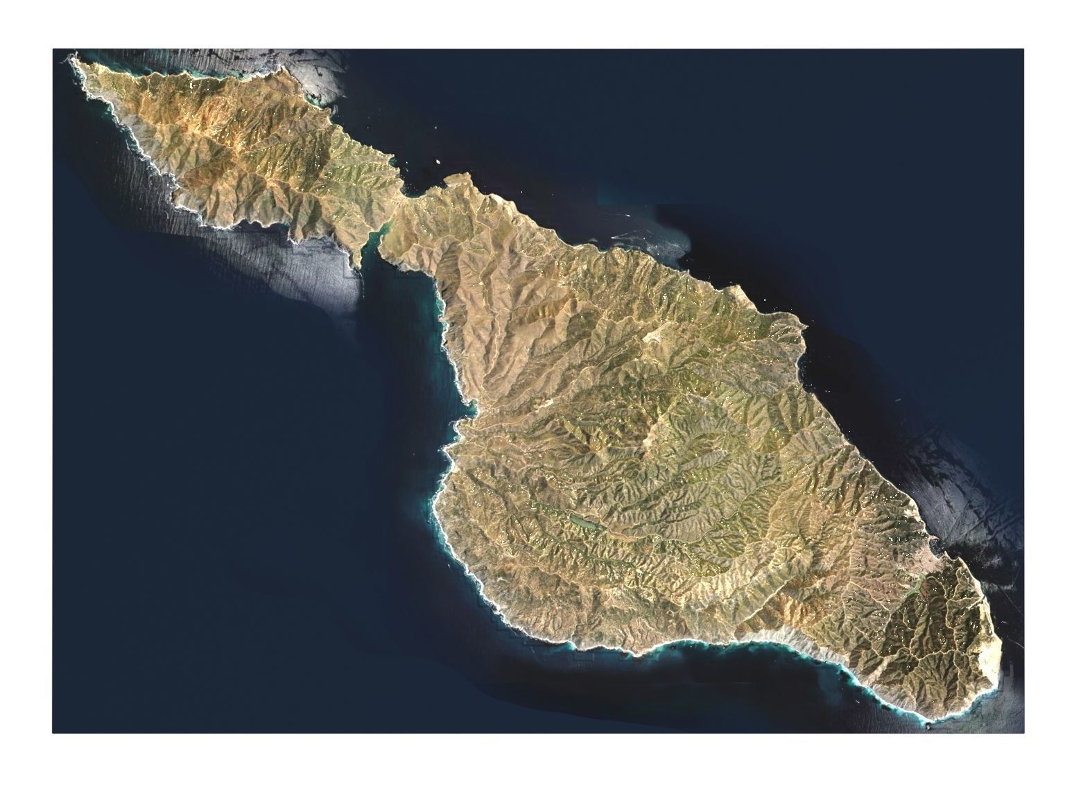 Santa Catalina Island  California USA 3D model_7