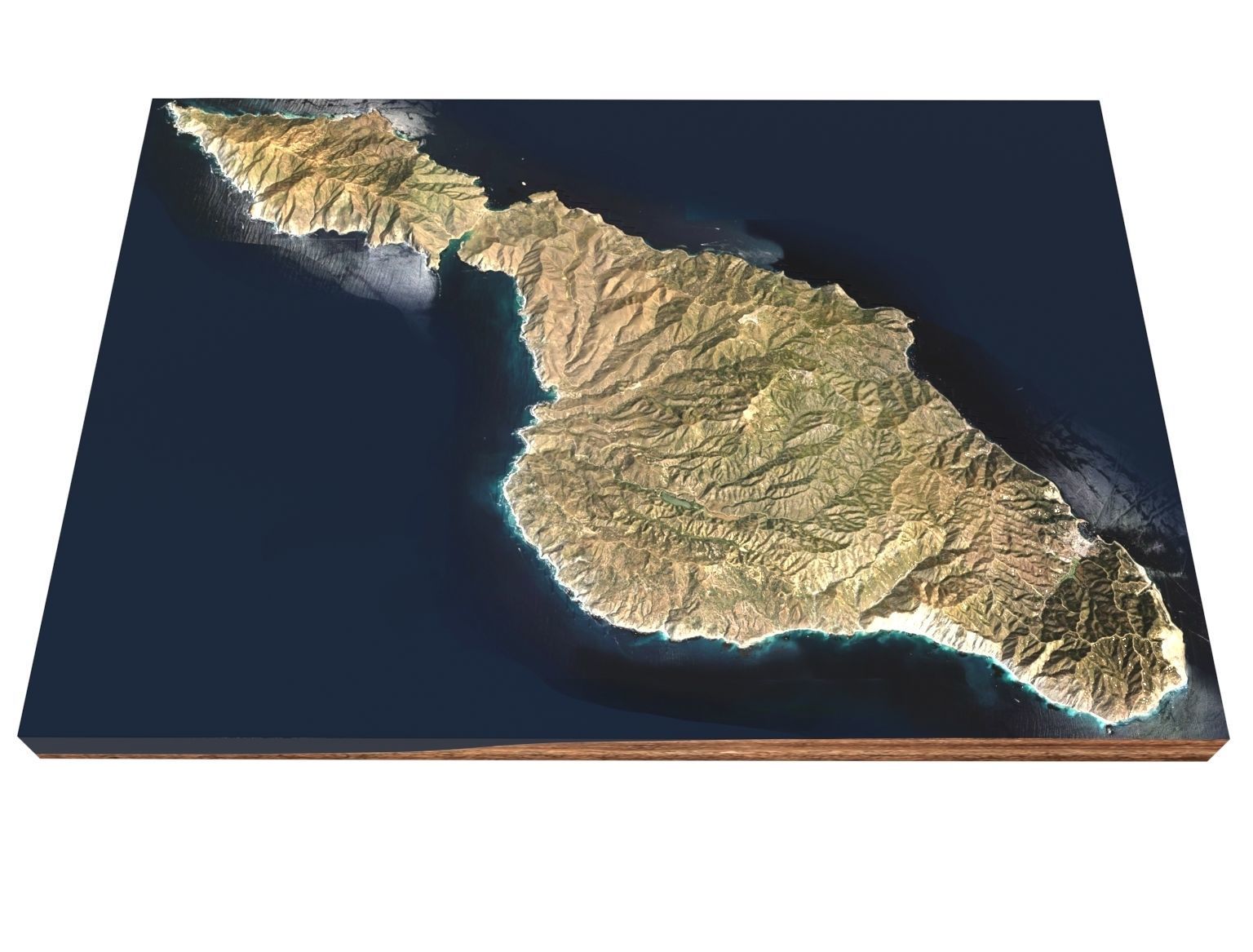 Santa Catalina Island  California USA 3D model_3
