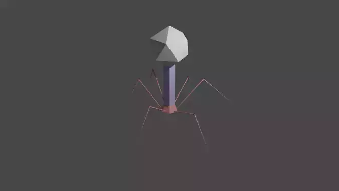 Bacteriophage Low Poly insect Low-poly 3D model