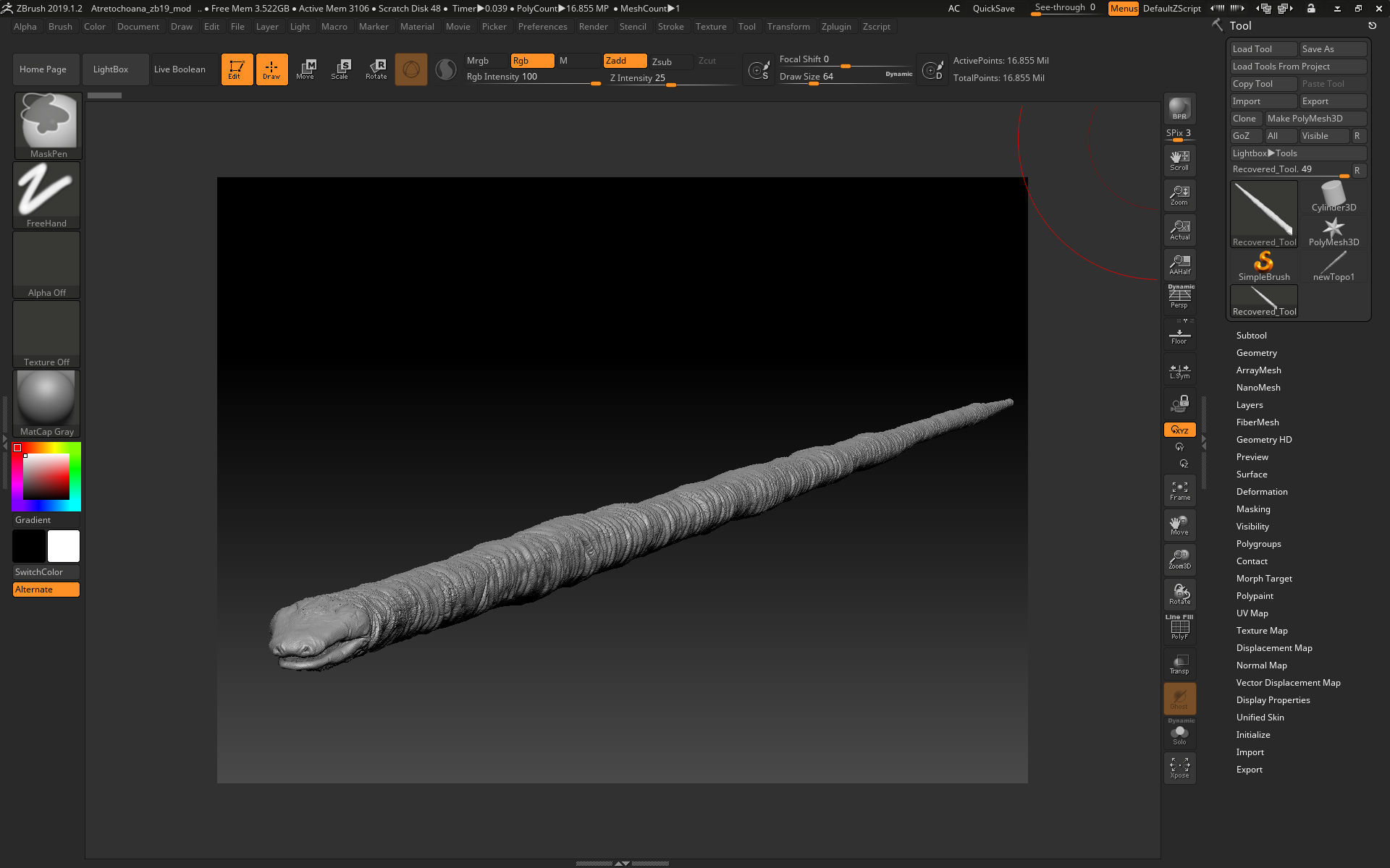 Atretochoana eiselti 3D model_12