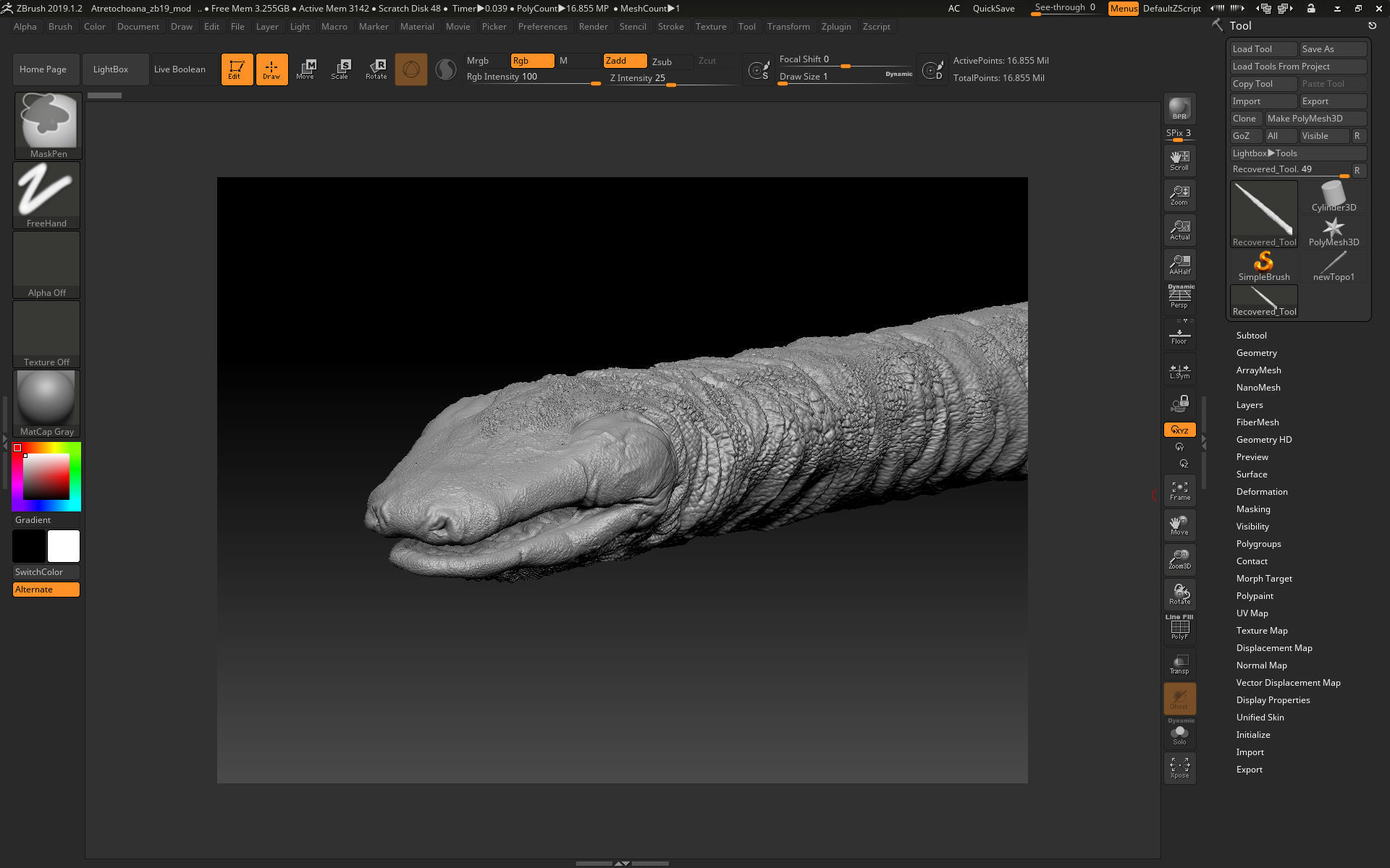 Atretochoana eiselti 3D model_13