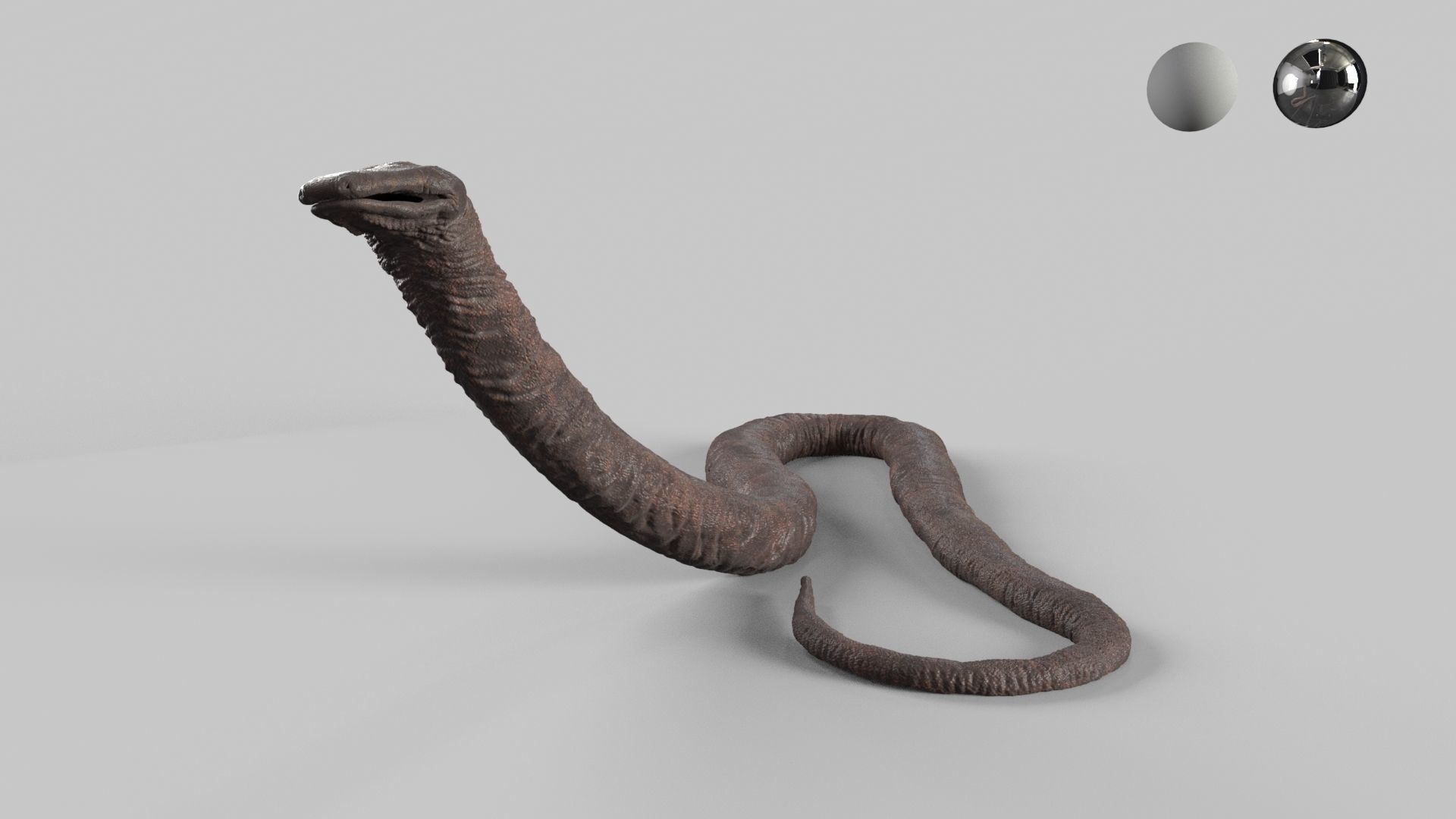 Atretochoana eiselti 3D model_3