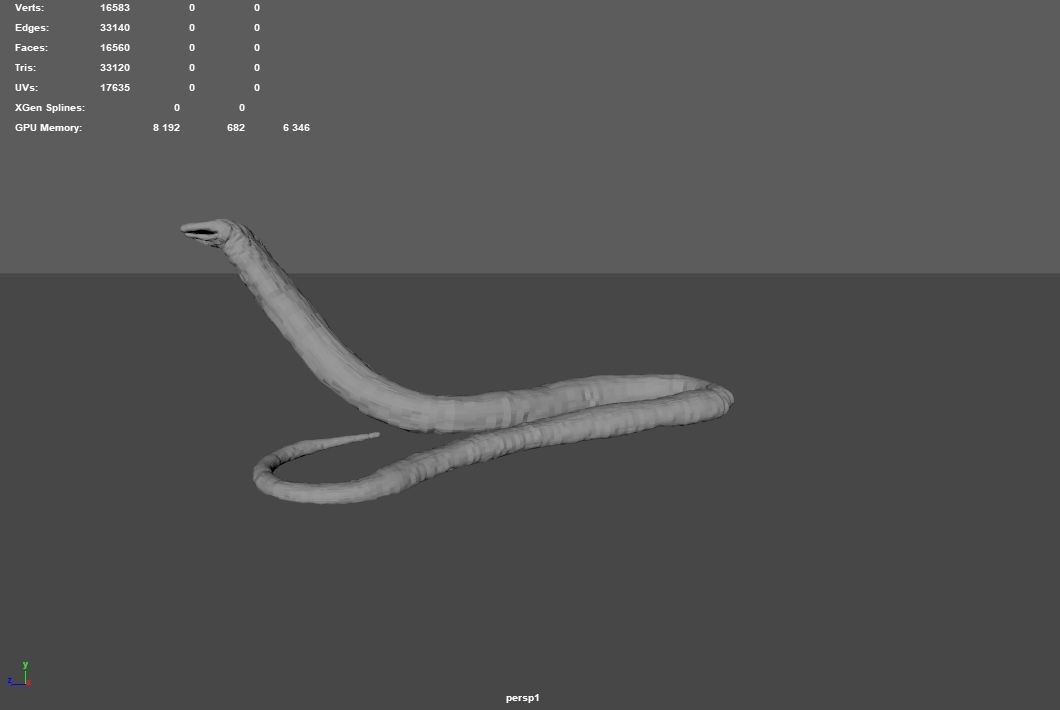 Atretochoana eiselti 3D model_5