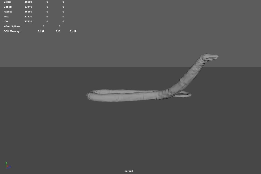 Atretochoana eiselti 3D model_6