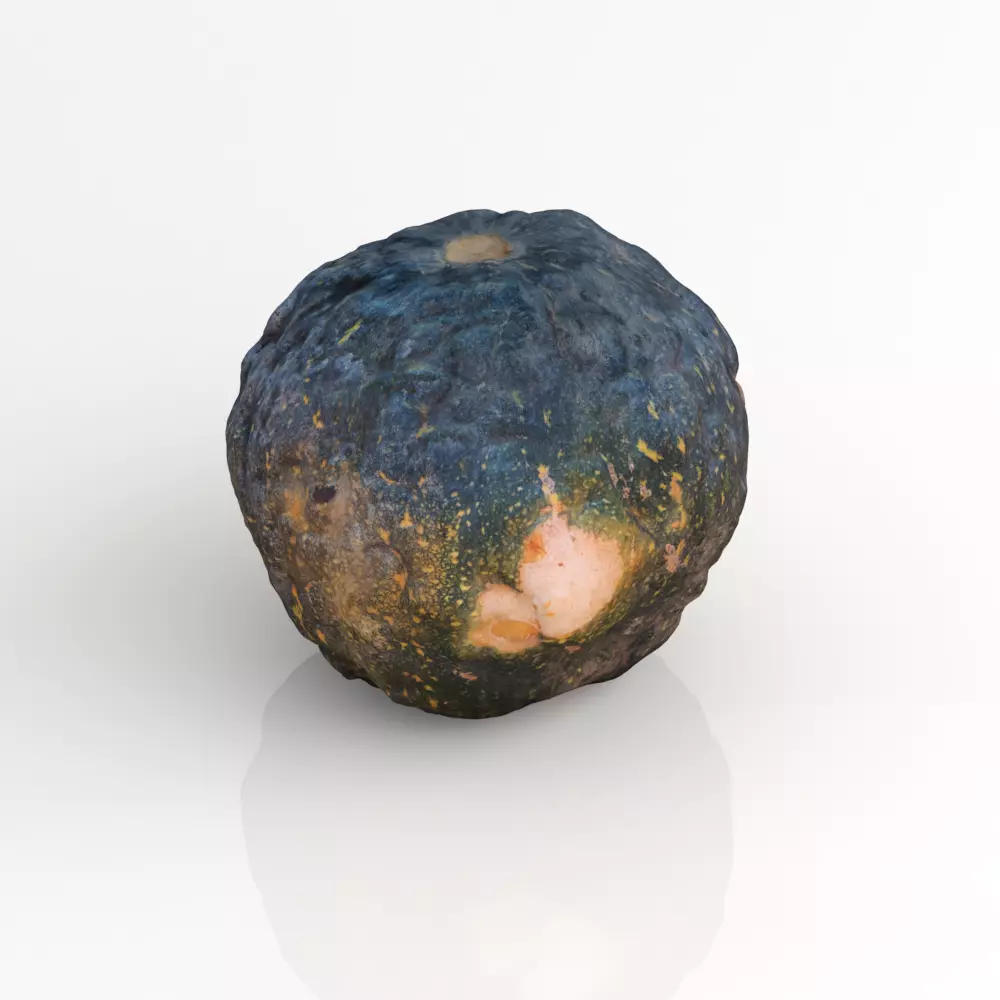 Calabaza - Pumpkin - Fotogrametria - Photogrammetry 3D model