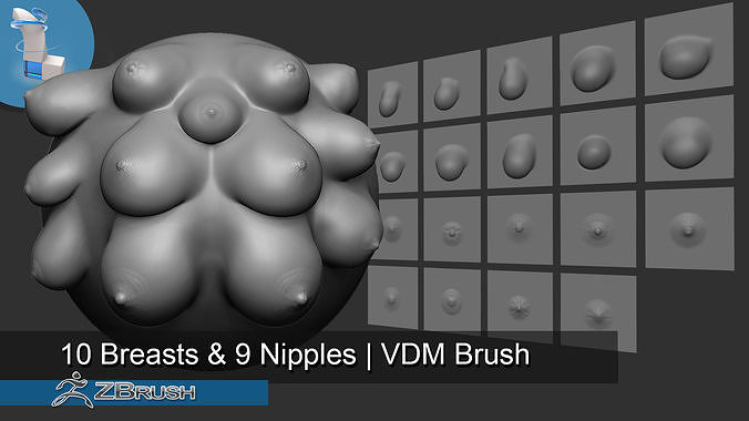 19 Breasts And Nipples - Zbrush VDM Brush 3D model