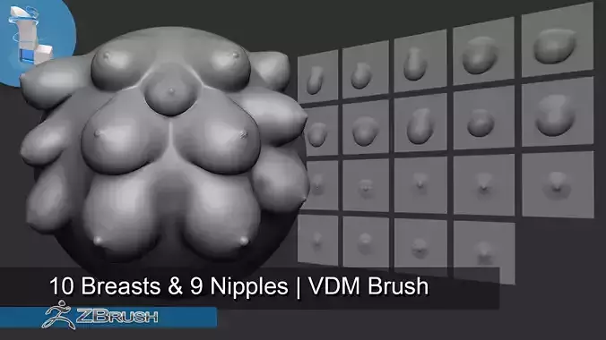 19 Breasts And Nipples - Zbrush VDM Brush 3D model