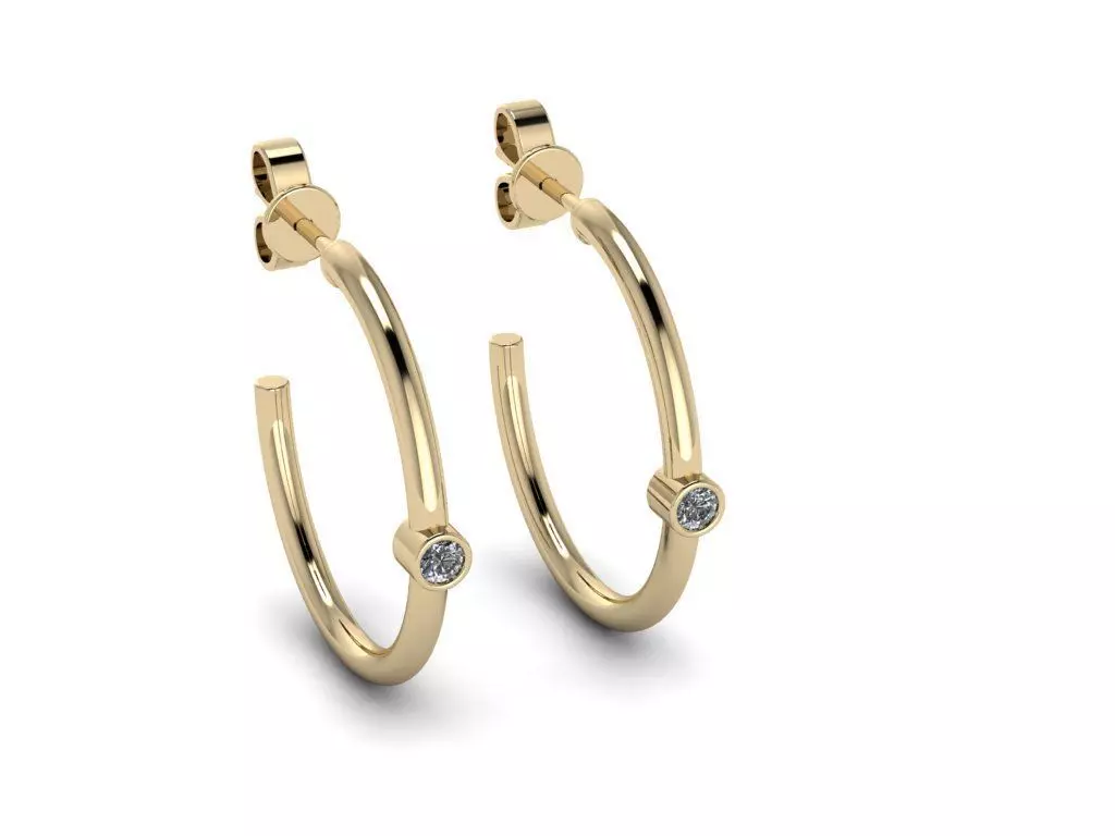 Jewelry Earrings 3D print model_0