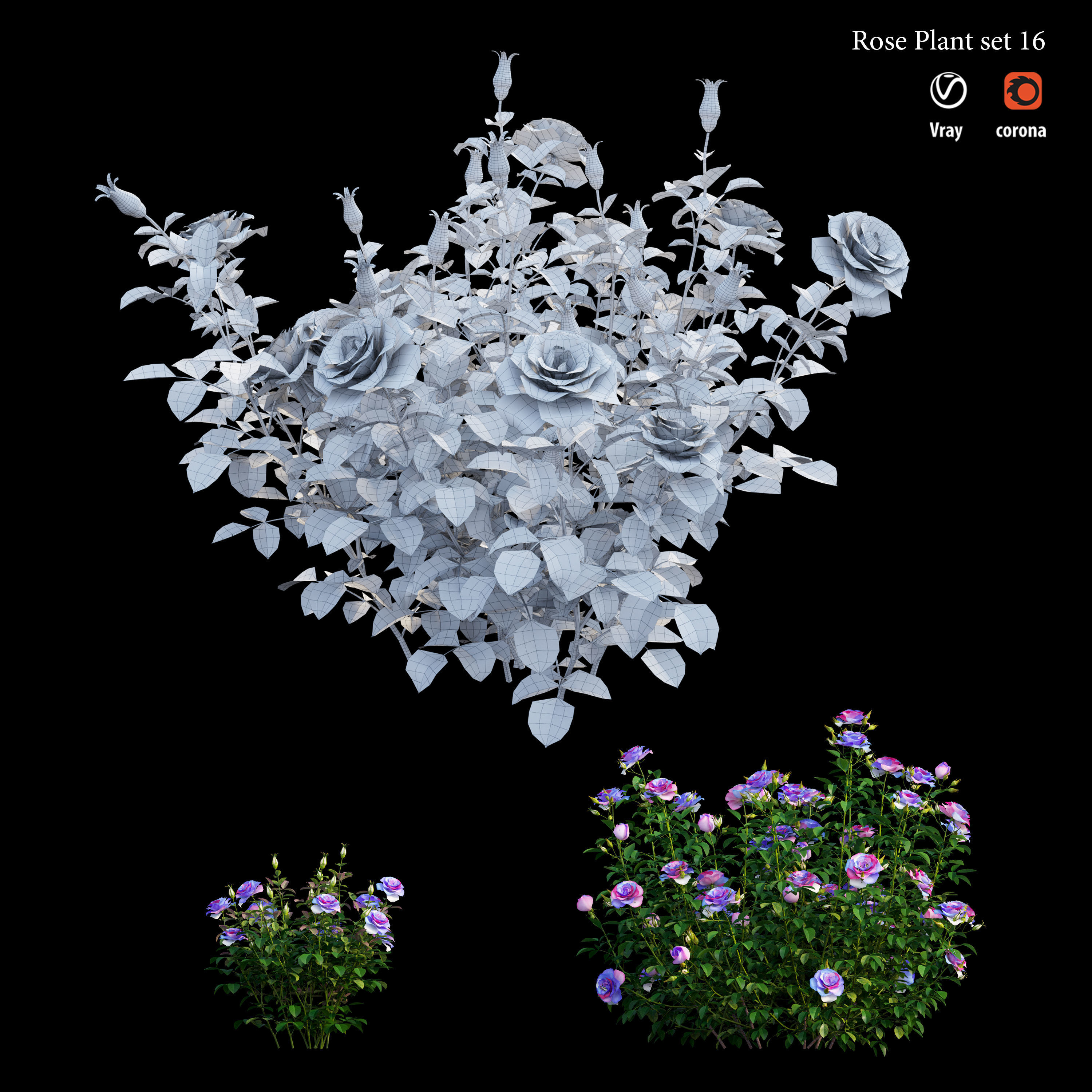 Plant rose set 16 3D model_4