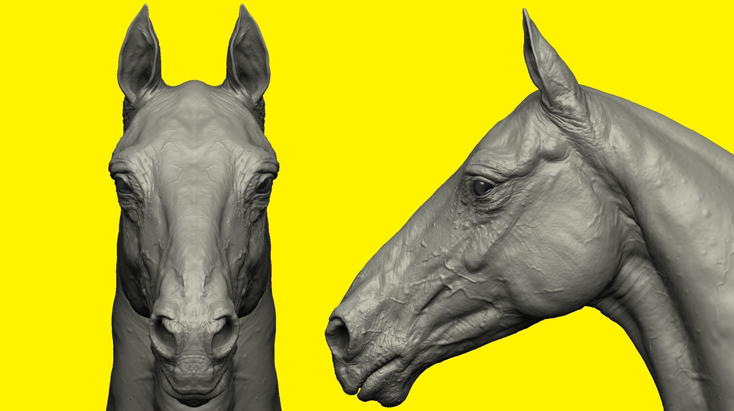 Horse print ready model 3D print model_4
