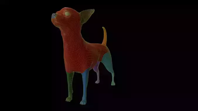 chihuahua BaseMesh