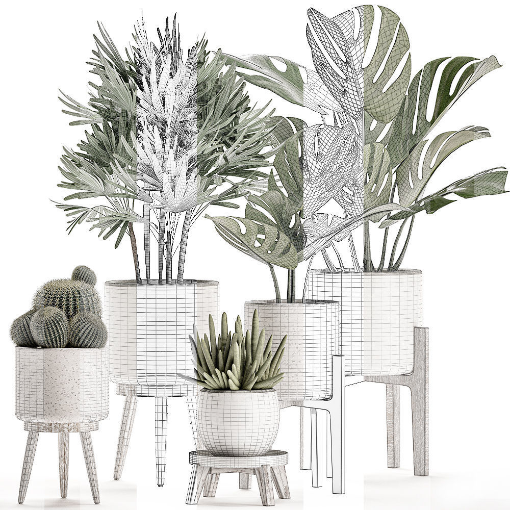Plants in a white flowerpot for decor and interior design 508 3D model_6